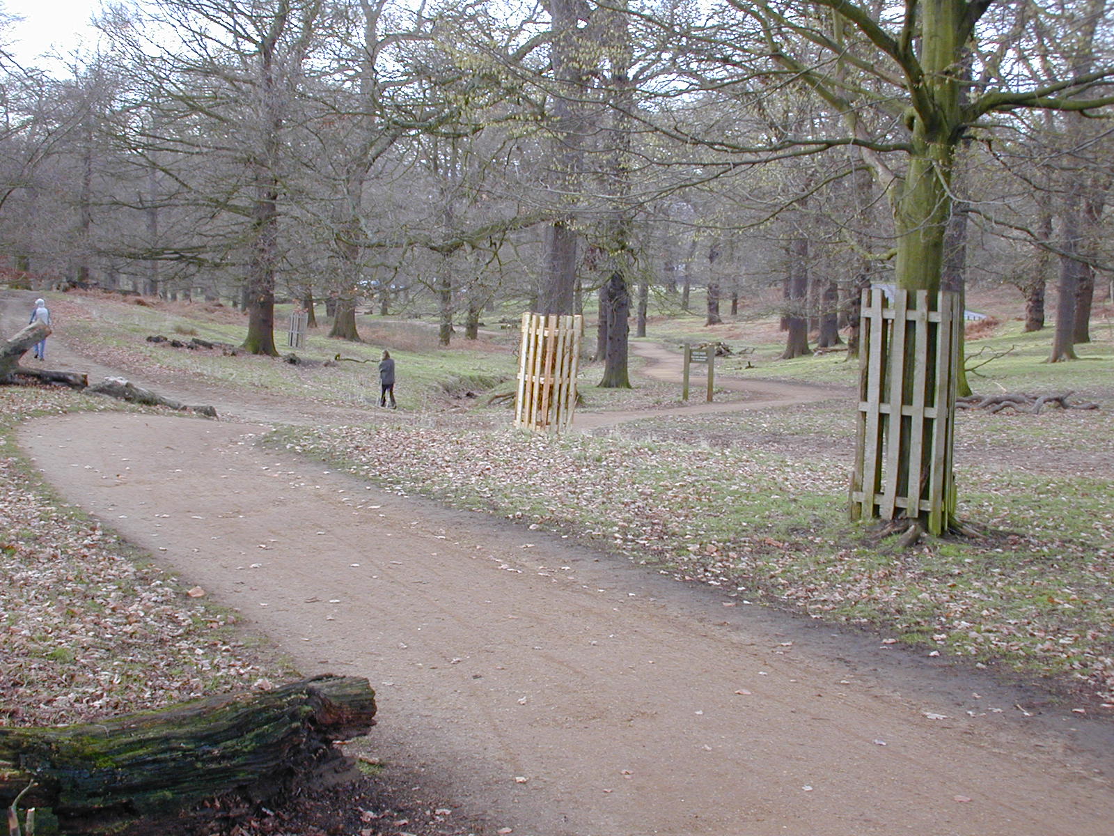 Richmond Park